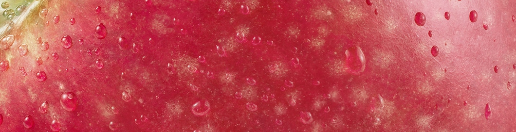 Zoom Pink&nbsp;Lady®